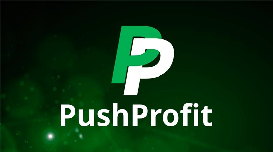 PushProfit